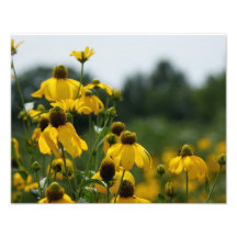 Flower Cluster 14 x 11 Photographic Print