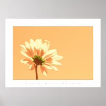 flower colours pale peach print