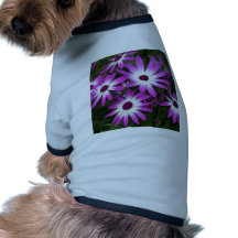 flower daisy dog tee