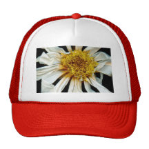 Flower - Daisy - Drunken sun Mesh Hats