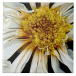 Flower - Daisy - Drunken sun Ceramic Tile