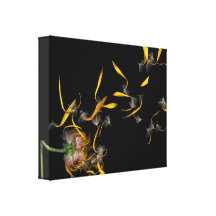 Flower - Daisy - Gone with the wind Stretched Canvas Prints
