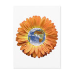 Flower Earth design! Postcards