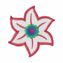 Flower Embroidered Women's T-Shirt