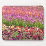 Flower Field Mouse Pad