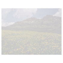 Flower fields near Sonora Pass, California Pink fl Personalized Letterhead