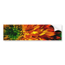 Flower Fireworks Bumper Sticker