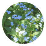 flower,forget-me-not stickers