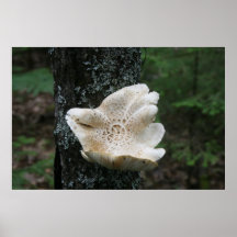 Flower Fungus Print
