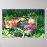 Flower Garden Arrangement Oil Painting Posters