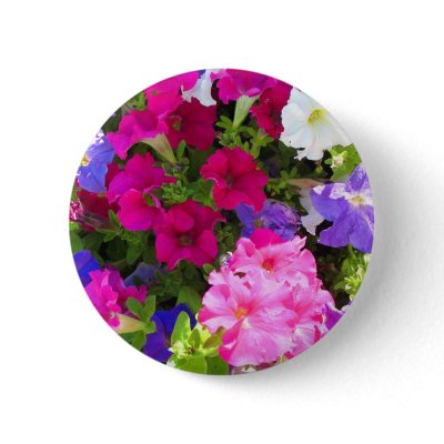 flower garden by DonnaGrayson_Photos