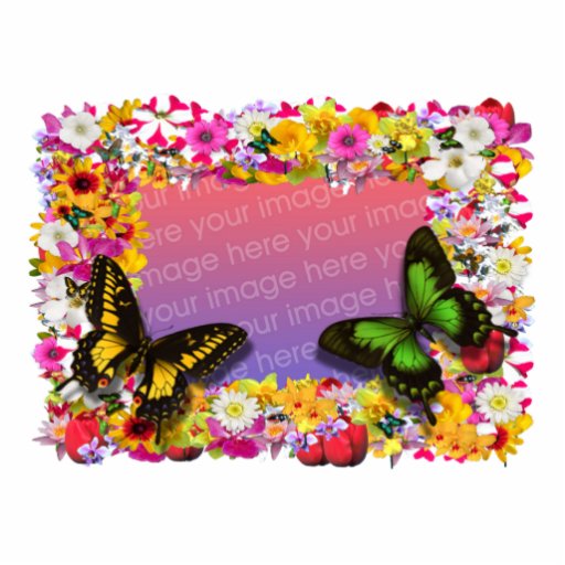 Flower Garden Frame 4X6 Acrylic Cut Outs Zazzle