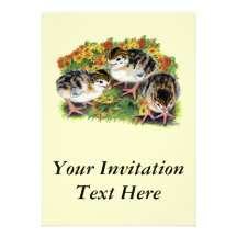 Flower Garden Keets Personalized Announcements