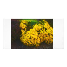 flower garden photo card