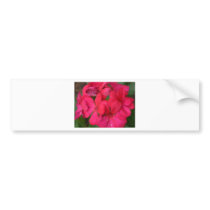 flower,geranium bumper stickers