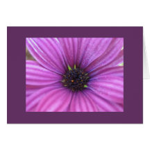Flower Greeting Card