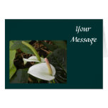 Flower Greeting Card Template