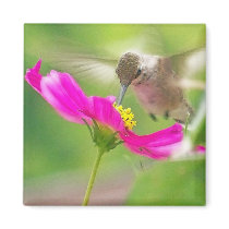 Flower Hummingbird Magnet