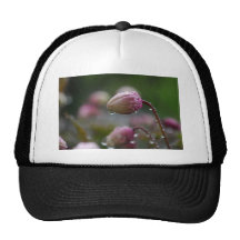 Flower in dew trucker hat