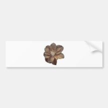 Flower in sepia bumper sticker