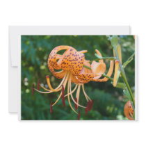 Flower Invitation Cards Lily Flowers Invitations