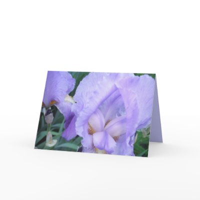Flower - Iris Card by gramabarb