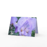 Flower - Iris cards