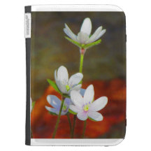 Flower Kindle Cover