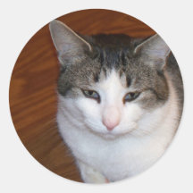 Flower Kitty Round Sticker