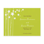 Flower & Lines: Lime postcards