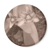 Flower Kühlschrankmagnete