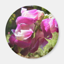 Flower magnet