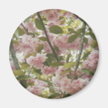 Flower magnet