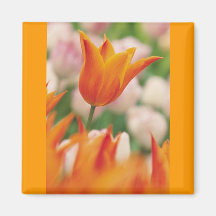 Flower Magnet