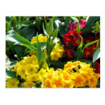 Flower Medly Postcard