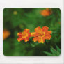 Flower Mousepad