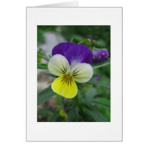 Flower Note Card
