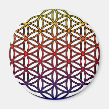 Flower of Life Sacred Geometry Symbol - 1 Fridge Magnets