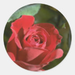 Flower Of Love Round Sticker