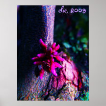 flower on tree 2, elie, 2009 poster