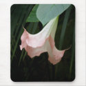 flower on tree mousepads