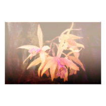 Flower - Orchid - Laelia - Midnight Passion stationery