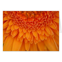 Flower Petal - Card