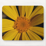 Flower Petals Mouse Pad