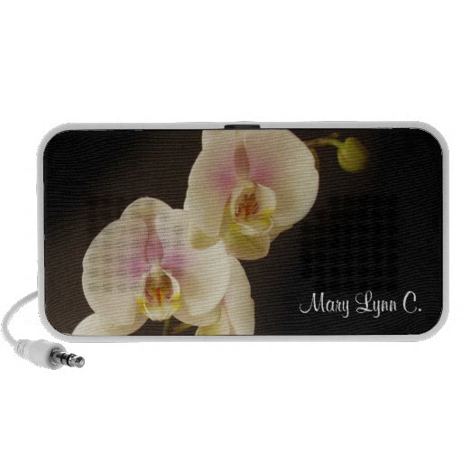 Flower phalaenopsis orchid photography your name speaker
