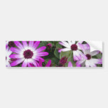 Flower photo bumper stickers