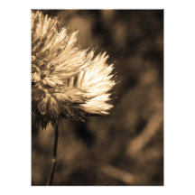 flower photo print