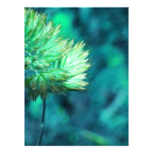 flower photo art
