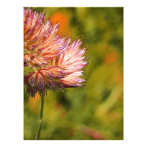 flower photographic print