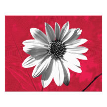 flower photograph